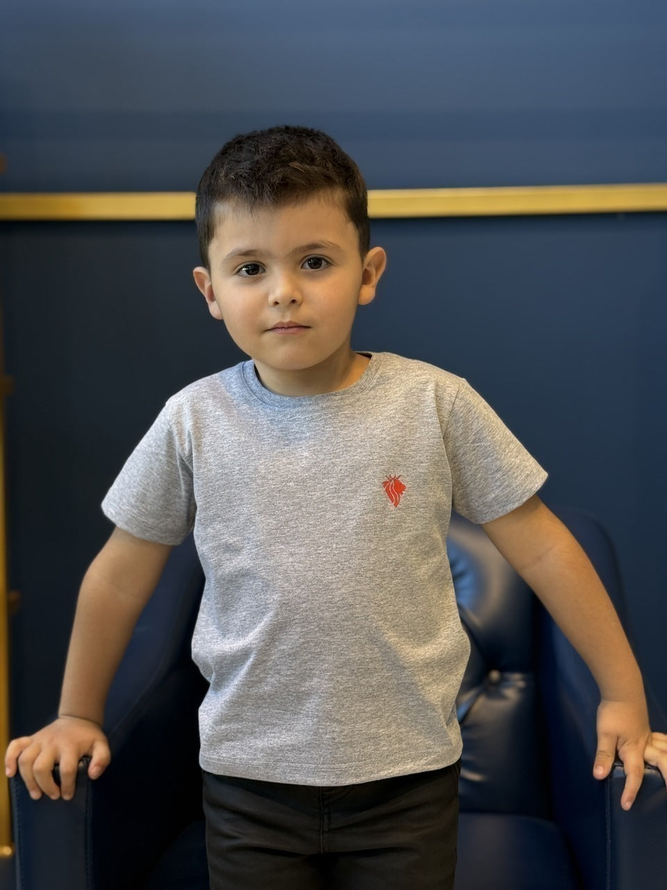 Camiseta Impire Lion Infantil