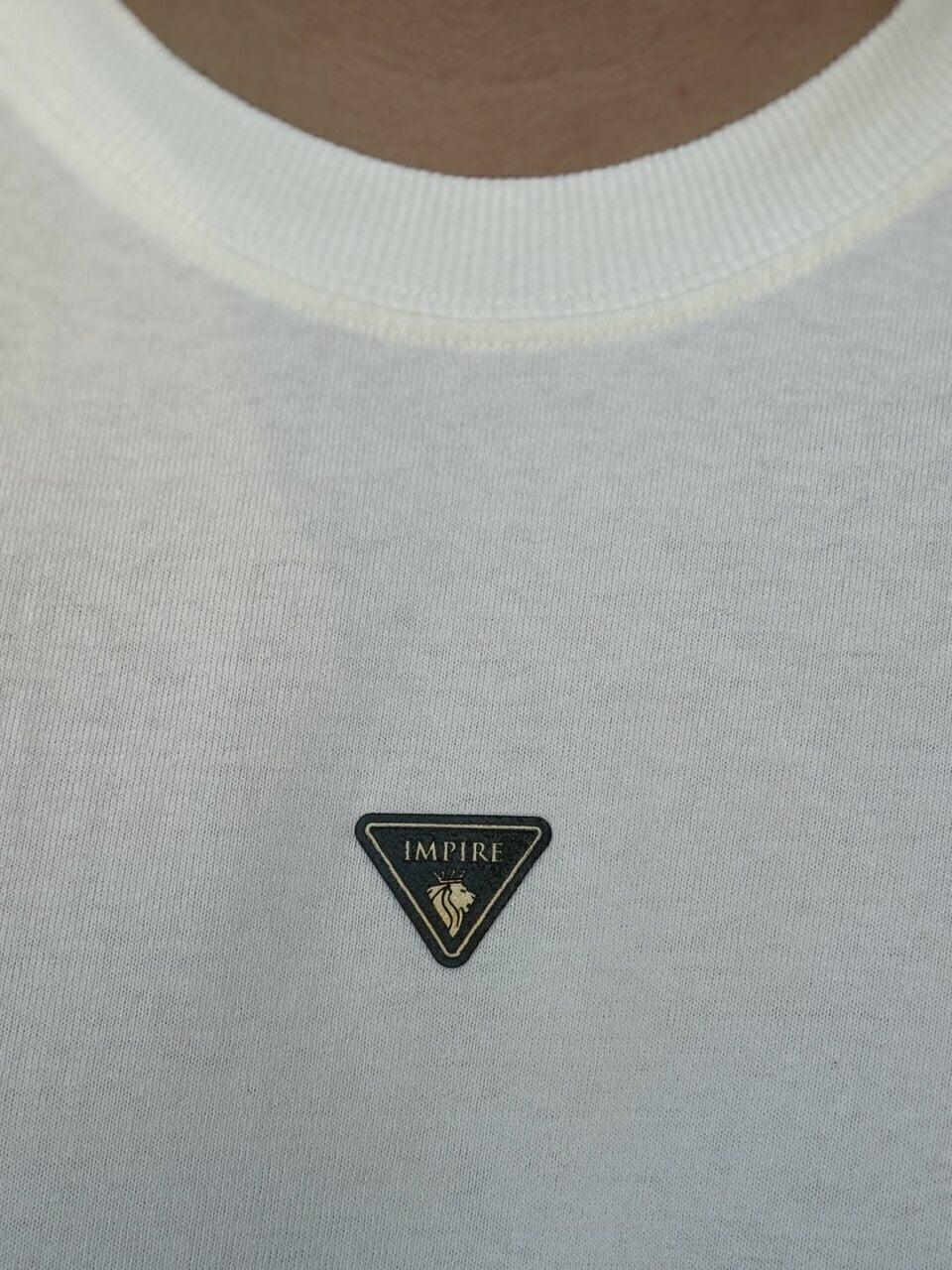 Camiseta Impire Oversized Masculino
