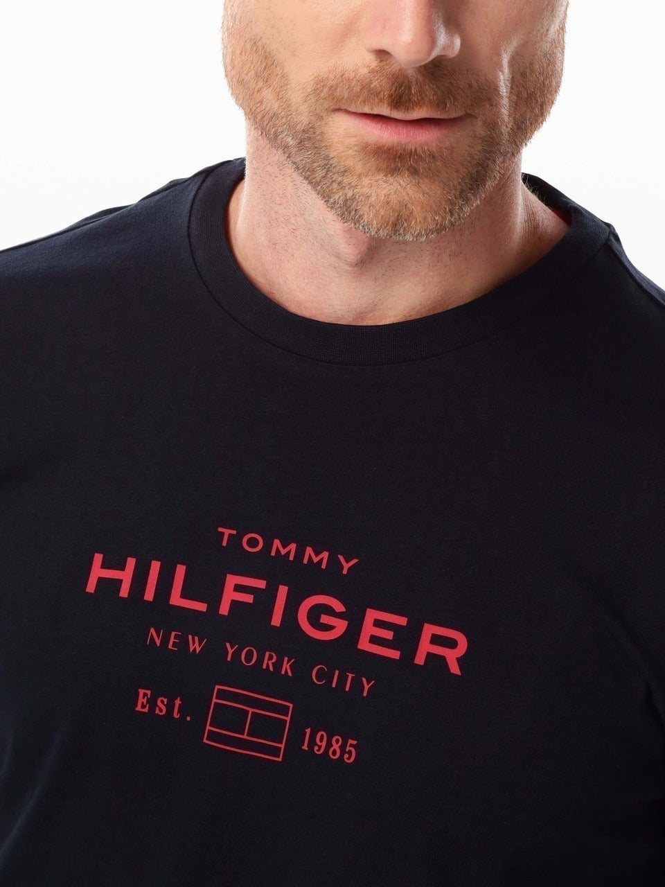 Camiseta Tommy Hilfiger Big And Tall Masculino